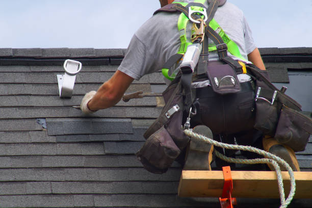 Best Roof Gutter Cleaning  in Loxley, AL