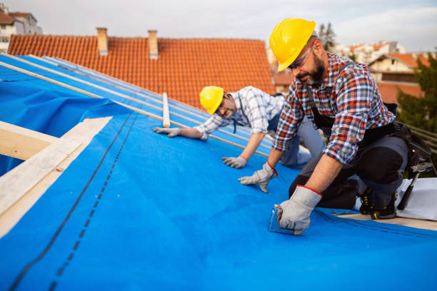 Best Roof Waterproofing Services  in Loxley, AL